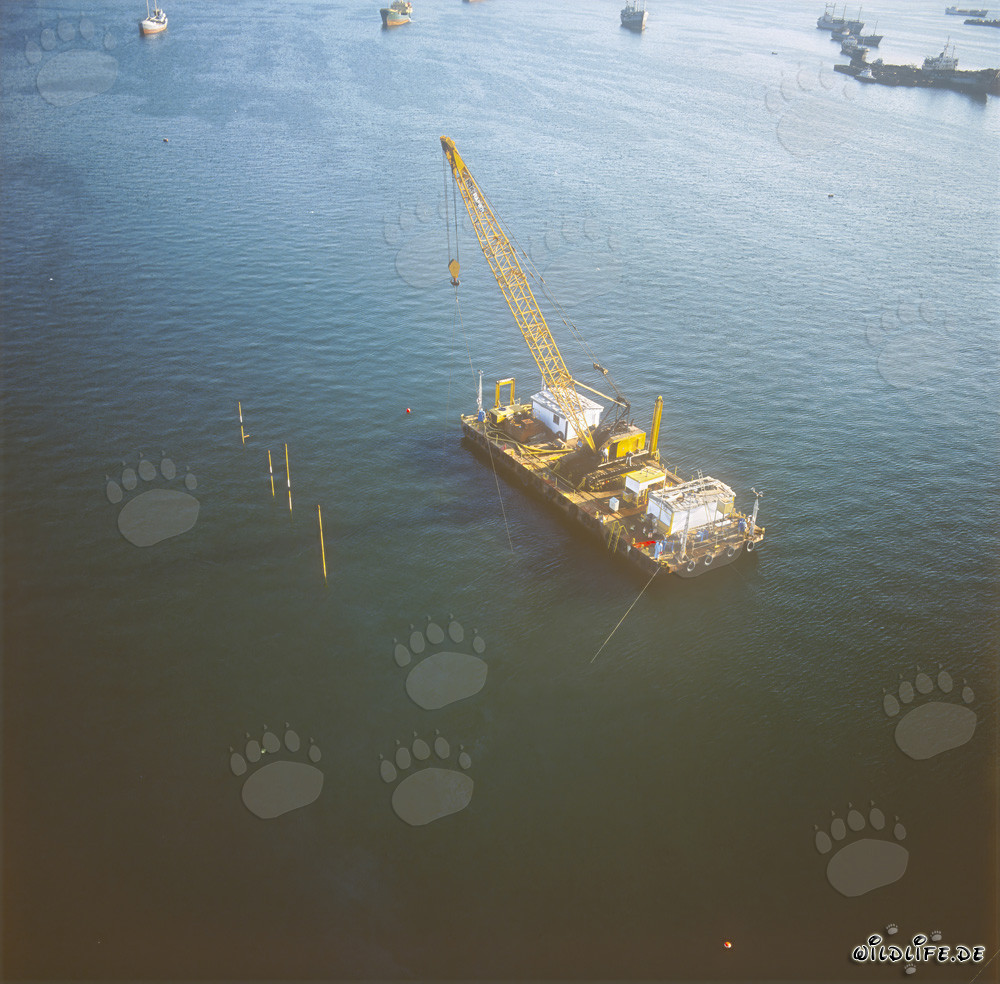 Pontón de desmontaje en acción: Construcción del muelle en el puerto de Ras el Tin, Alejandría