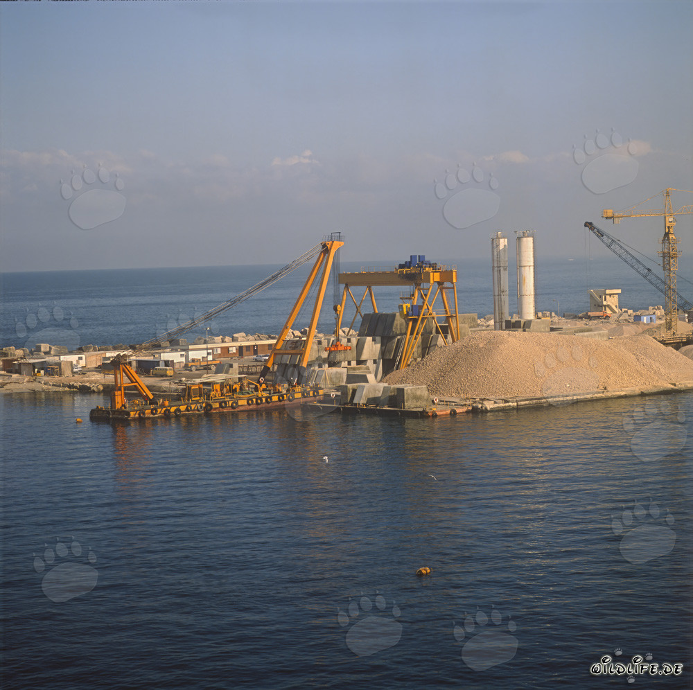 Construcción del muelle en el puerto de Ras el Tin, Alejandría: Cargando el pontón de transporte