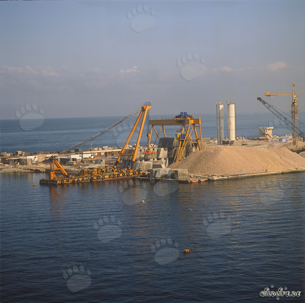 Bau der Kaimauer im Hafen Ras el Tin, Alexandria: Transportponton wird beladen