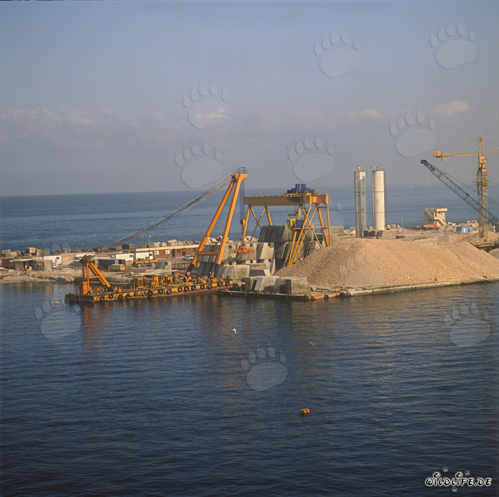 Quaywall Construction in Ras el Tin Harbor, Alexandria: Loading of Transport Pontoon