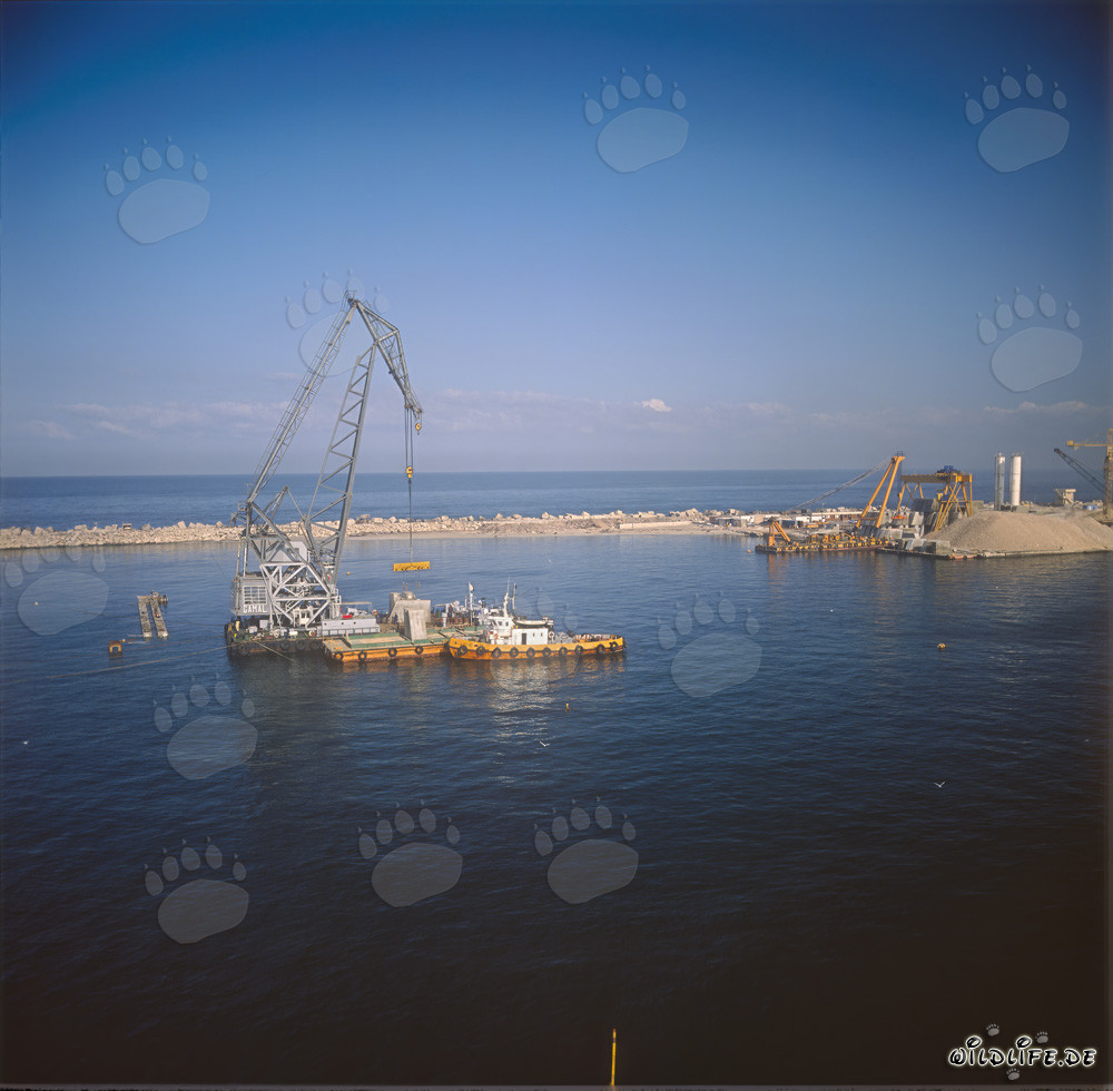 Verlegen von Betonblöcken mit dem Schwimmkran 'Gamal' in Ras el Tin Harbor, Alexandria