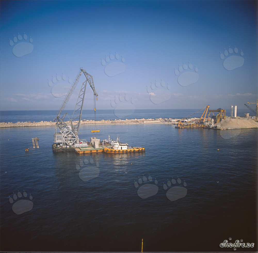 Placing of Concrete Blocks with the Floating Crane 'Gamal' at Ras el Tin Harbor, Alexandria