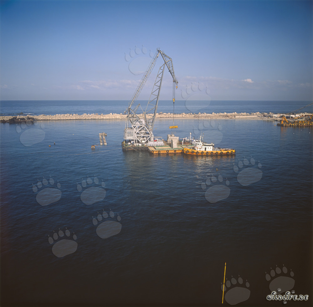 Verlegen von Betonblöcken mit dem Schwimmkran 'Gamal' im Hafen Ras el Tin, Alexandria