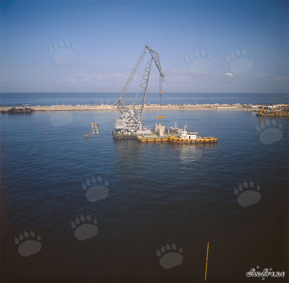Pose de blocs de béton avec la grue flottante 'Gamal' dans le port de Ras el Tin, Alexandrie