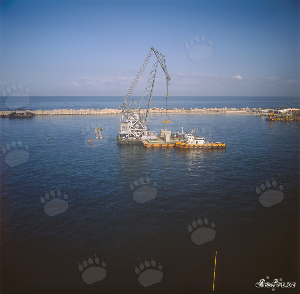 Colocación de bloques de hormigón con la grúa flotante 'Gamal' en el puerto de Ras el Tin, Alejandría
