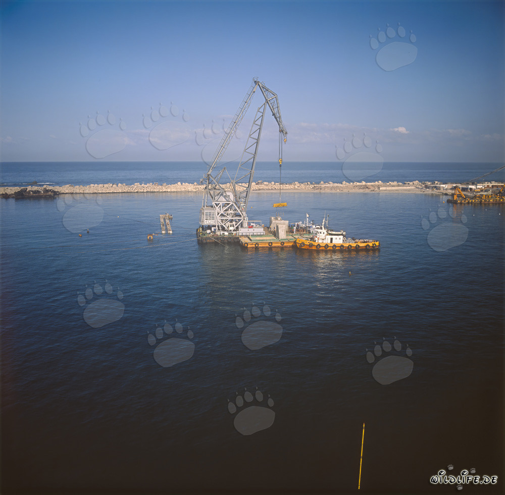 Placing of Concrete Blocks with the Floating Crane 'Gamal' at Ras el Tin Harbor, Alexandria