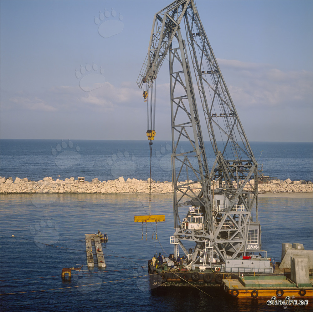 Colocación de bloques de hormigón con la grúa flotante 'Gamal'