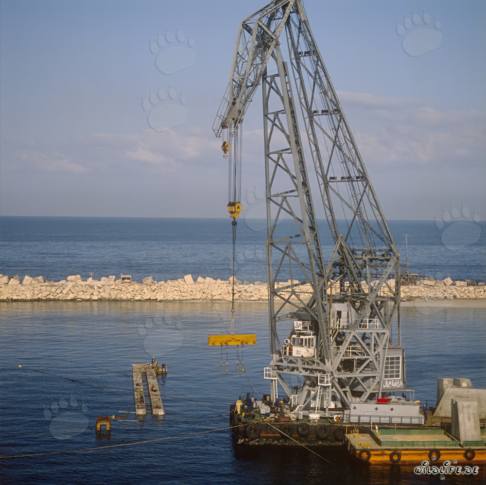 Placing of Quay-wall concrete blocks with the floating crane 'Gamal'