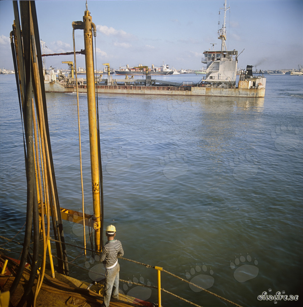 Draga a tramoggia Galileo 2000 nel porto di Ras el Tin
