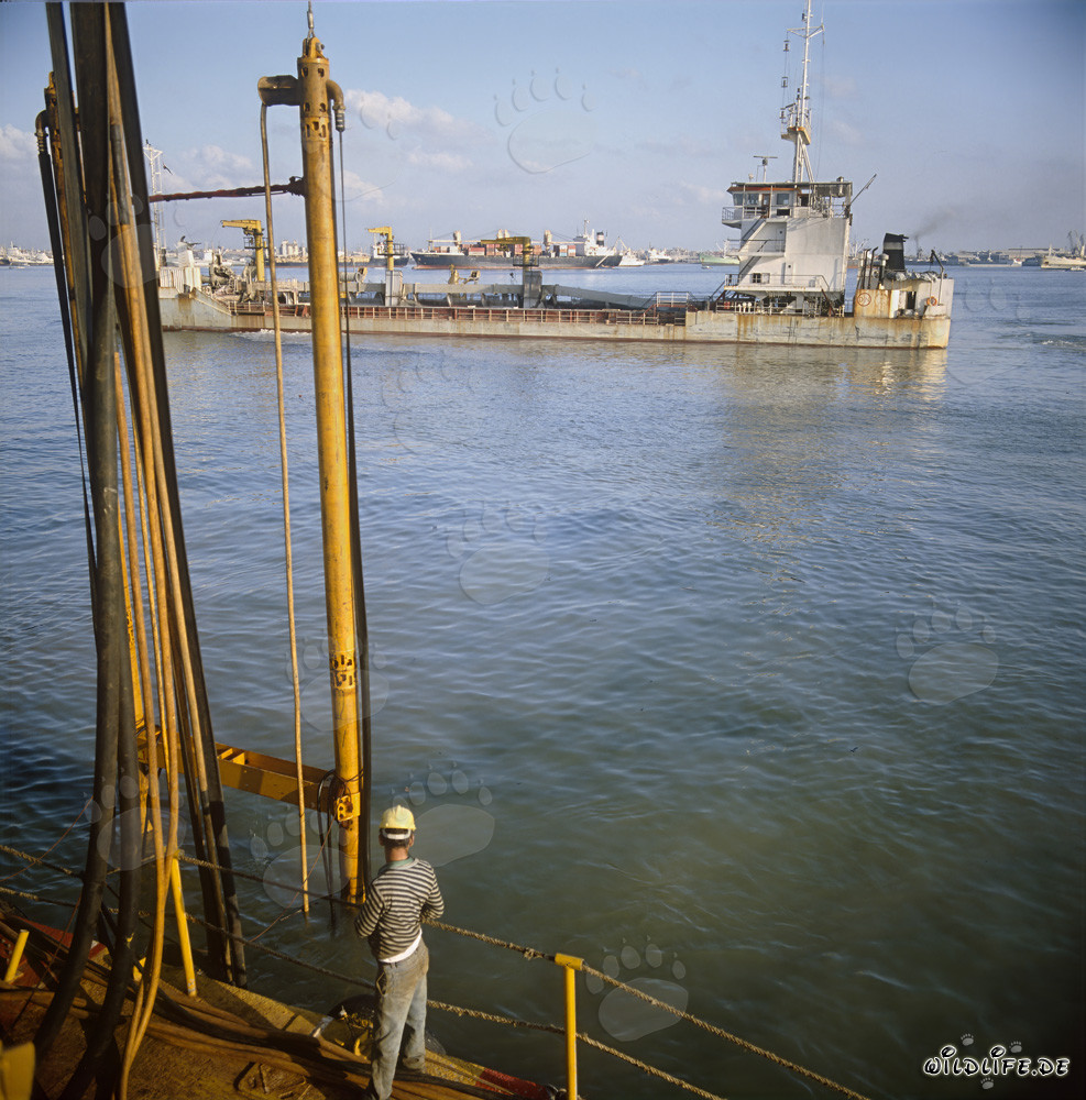 Drague suceuse Galileo 2000 dans le port de Ras el Tin