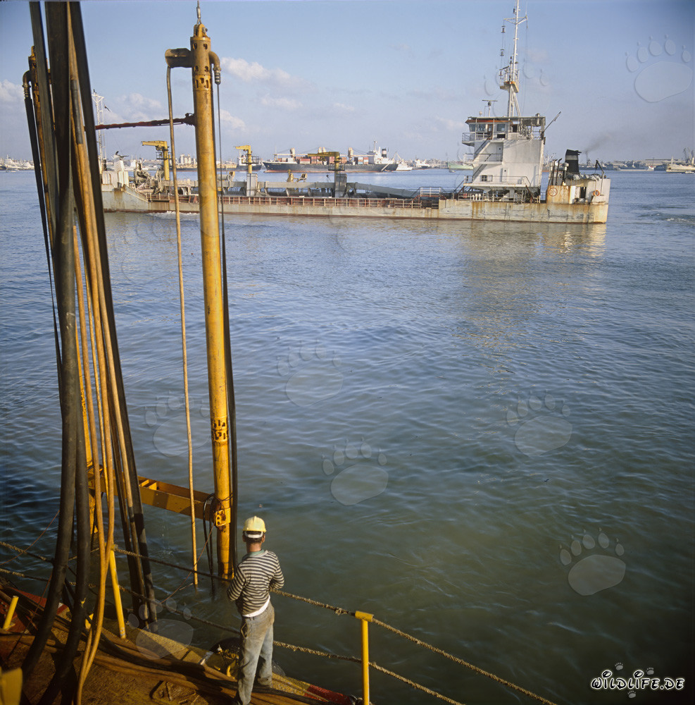 Trailing suction hopper dredger Galilei 2000
