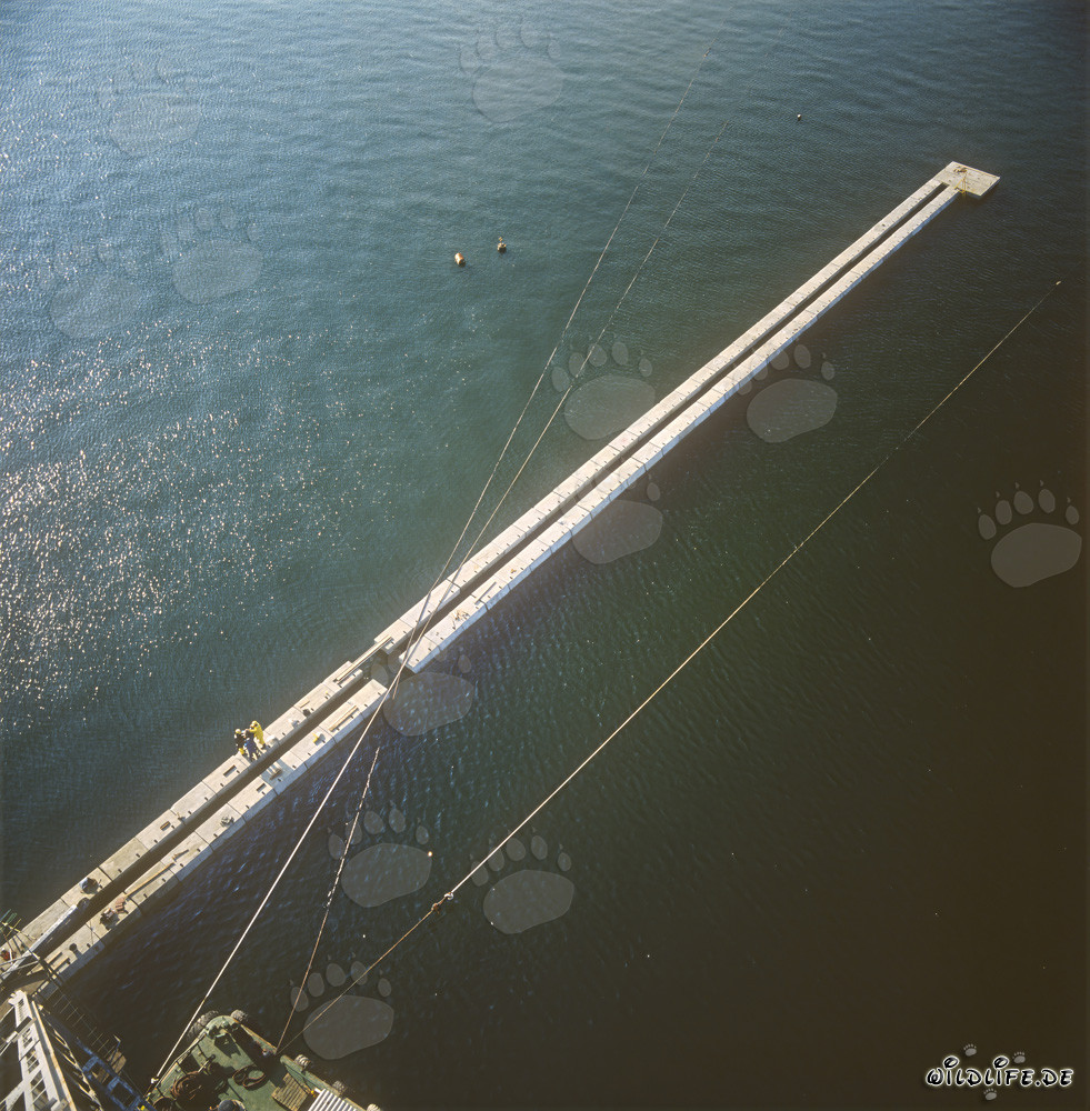 Block Wall Construction at Ras el Tin Harbor in Alexandria