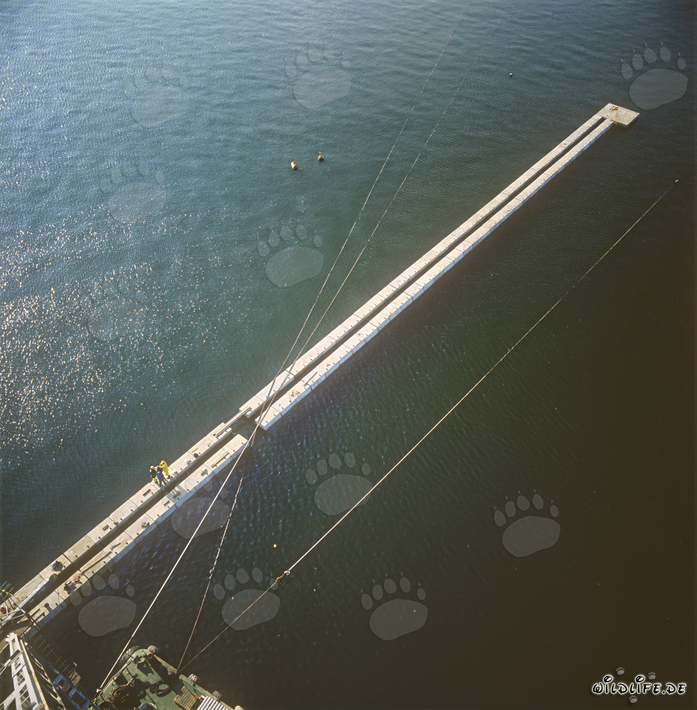 Costruzione di un muro a blocchi presso il porto di Ras el Tin ad Alessandria