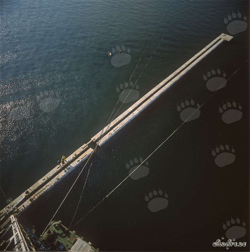 Block Wall Construction at Ras el Tin Harbor, Alexandria