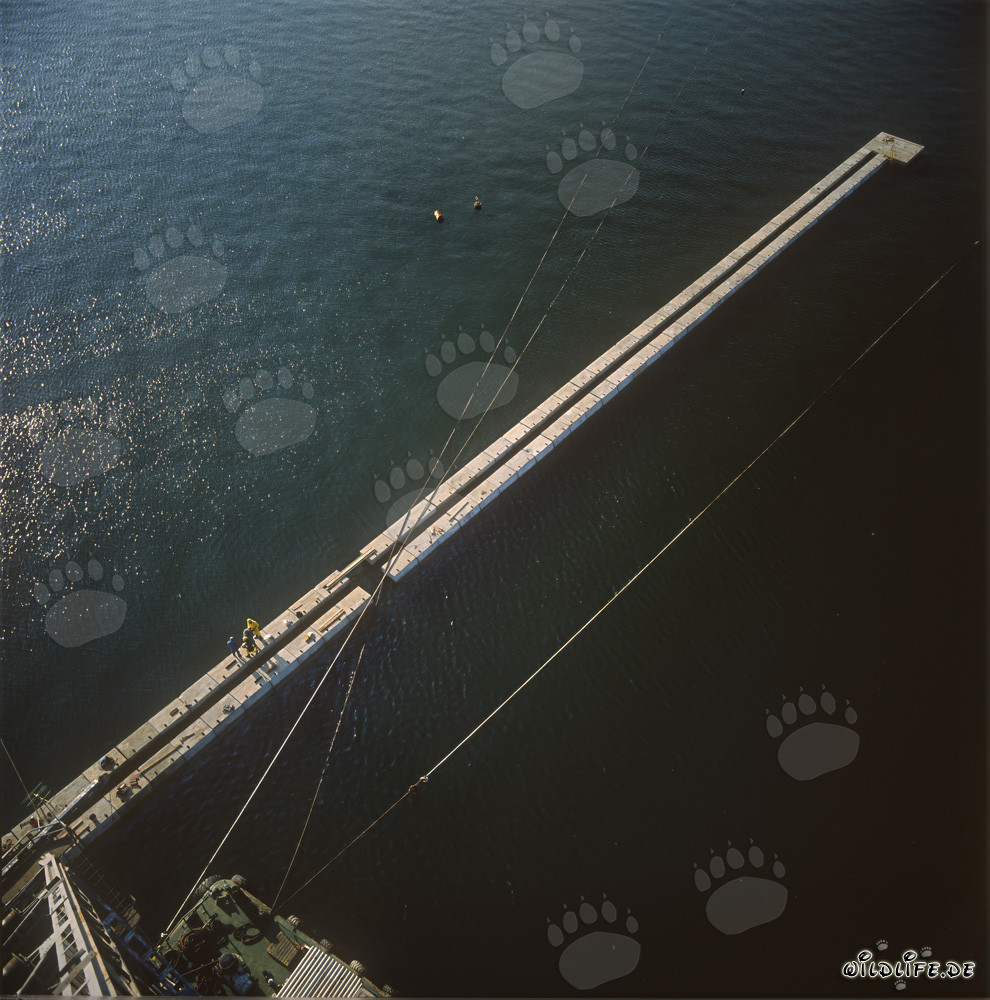 Blockmauer Bau am Ras el Tin Hafen, Alexandria