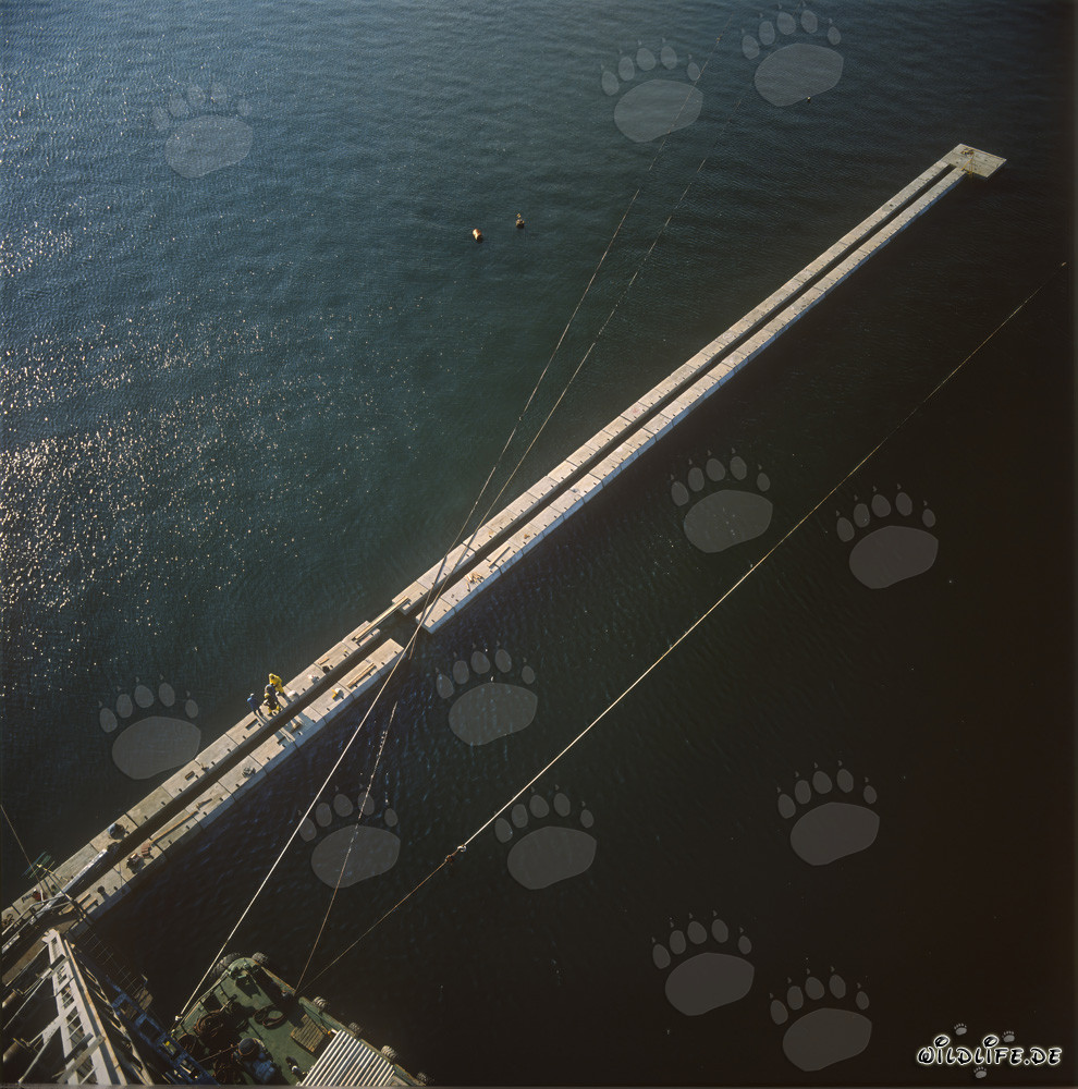 Construcción de muro de bloques en el puerto de Ras el Tin, Alejandría