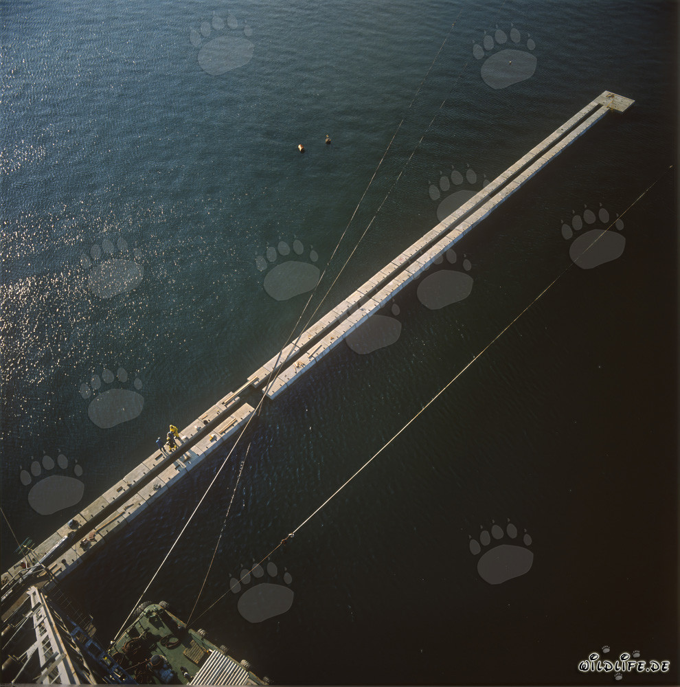 Construction du mur de blocs au port de Ras el Tin, Alexandrie