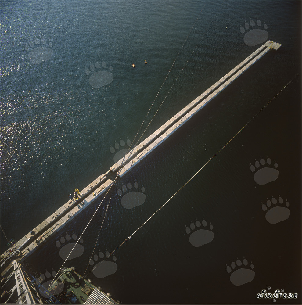 Costruzione del muro di blocchi al porto di Ras el Tin, Alessandria