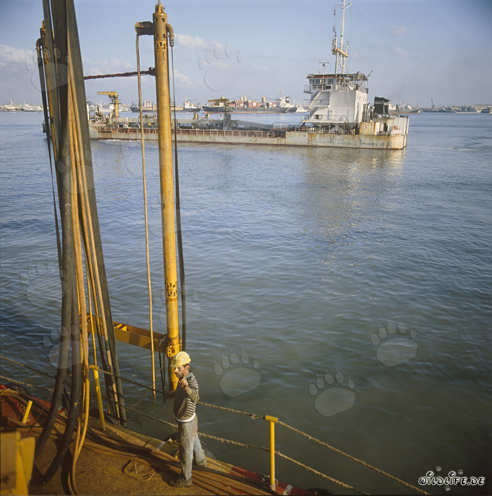 Draga de cucharones Galileo 2000 en el desarrollo del puerto en Ras el Tin, Alejandría, Egipto