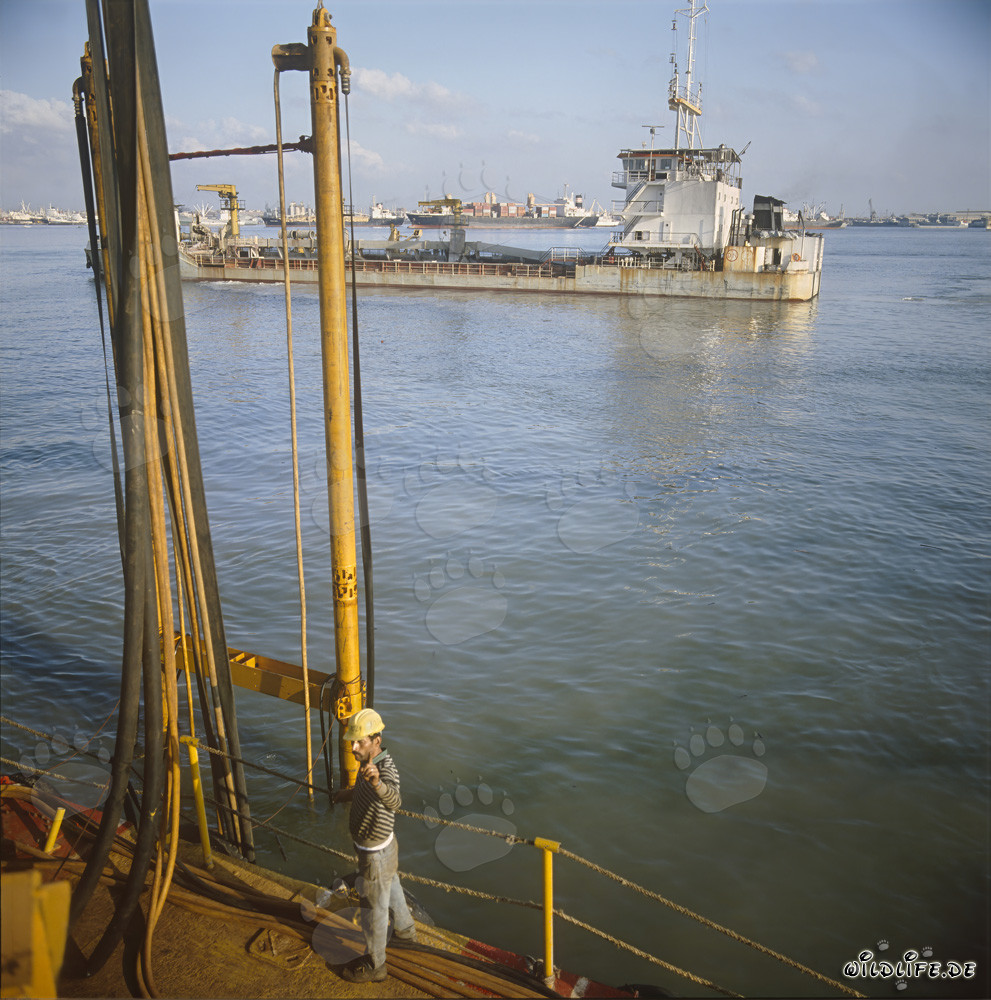Drague suceuse à godets Galileo 2000 lors du développement du port à Ras el Tin, Alexandrie, Égypte