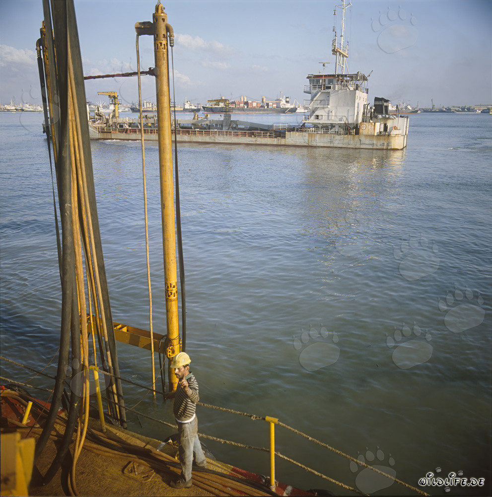 Hopperbagger Galilei 2000 bei der Hafenentwicklung in Ras el Tin, Alexandria, Ägypten