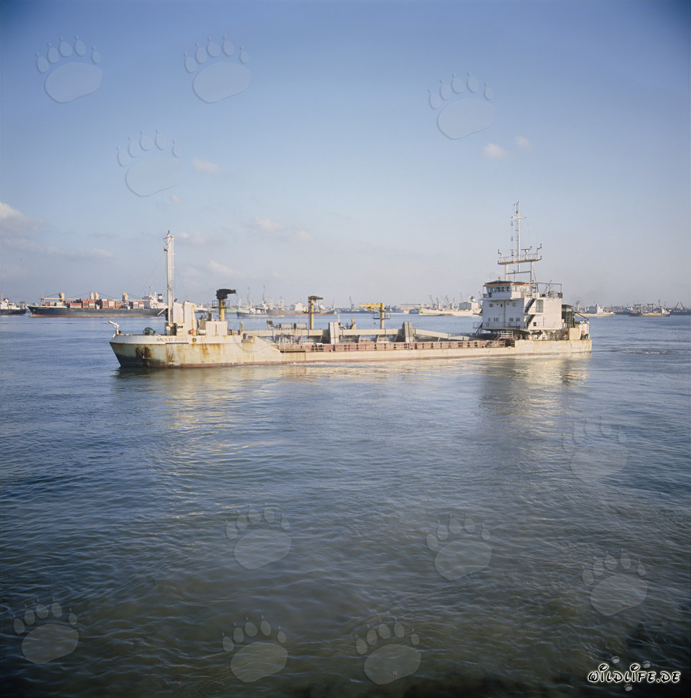 Hopperbagger Galilei 2000 im Hafen von Ras el Tin