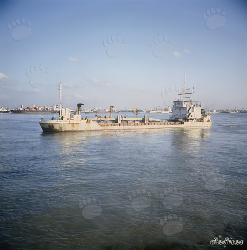 Galilei 2000 dredging in Ras el Tin Harbor