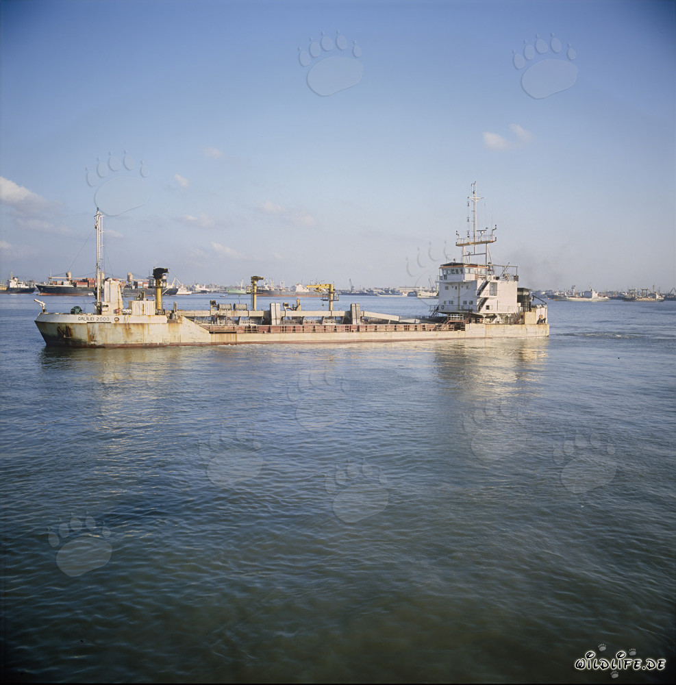 Draga de tolva Galileo 2000 en la construcción del puerto en Ras el Tin, Alejandría