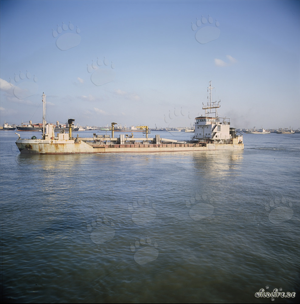 Galilei 2000 dredging during harbor construction in Ras el Tin, Alexandria