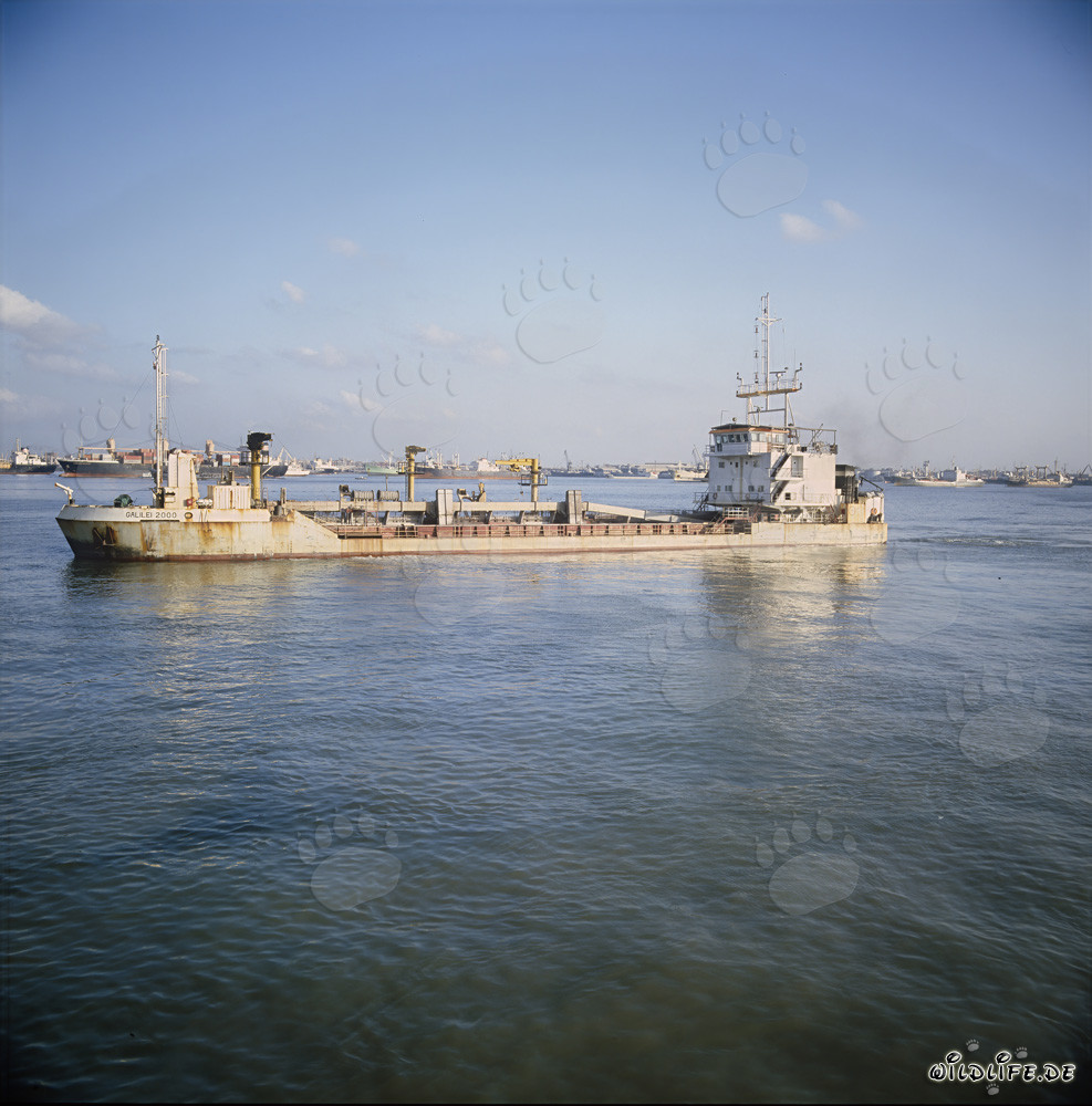 Hopperbagger Galilei 2000 bei der Hafenkonstruktion in Ras el Tin, Alexandria
