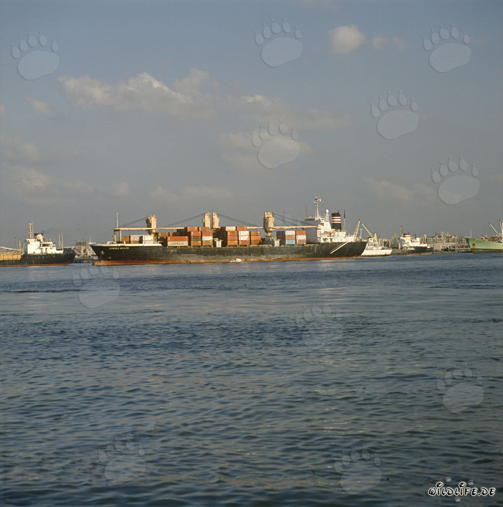 Impresionante buque portacontenedores en el bullicioso puerto de Ras el Tin, Alejandría, Egipto