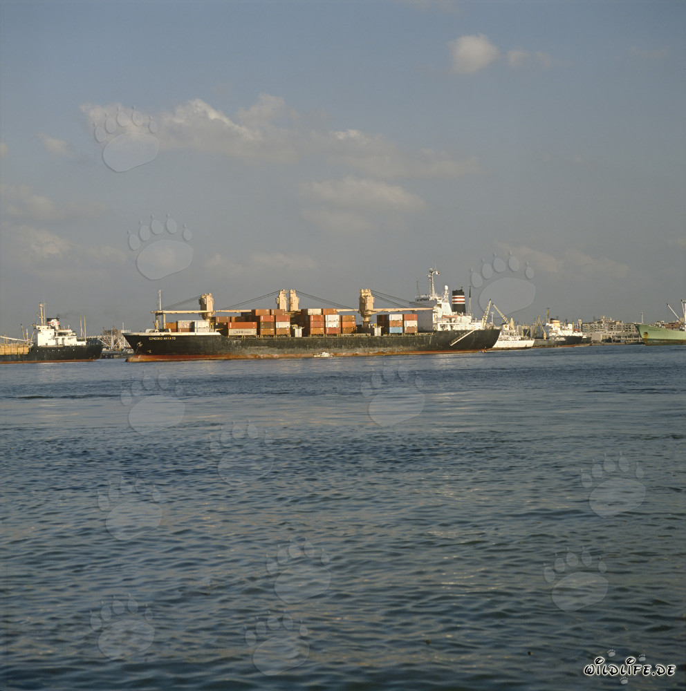Impressive container ship in the bustling port of Ras el Tin, Alexandria, Egypt