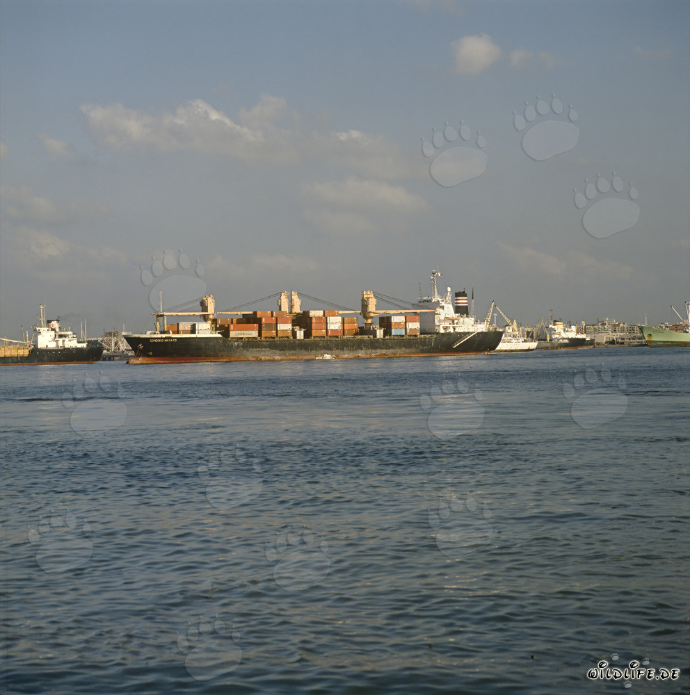 Impressionante nave portacontainer nel vivace porto di Ras el Tin, Alessandria, Egitto