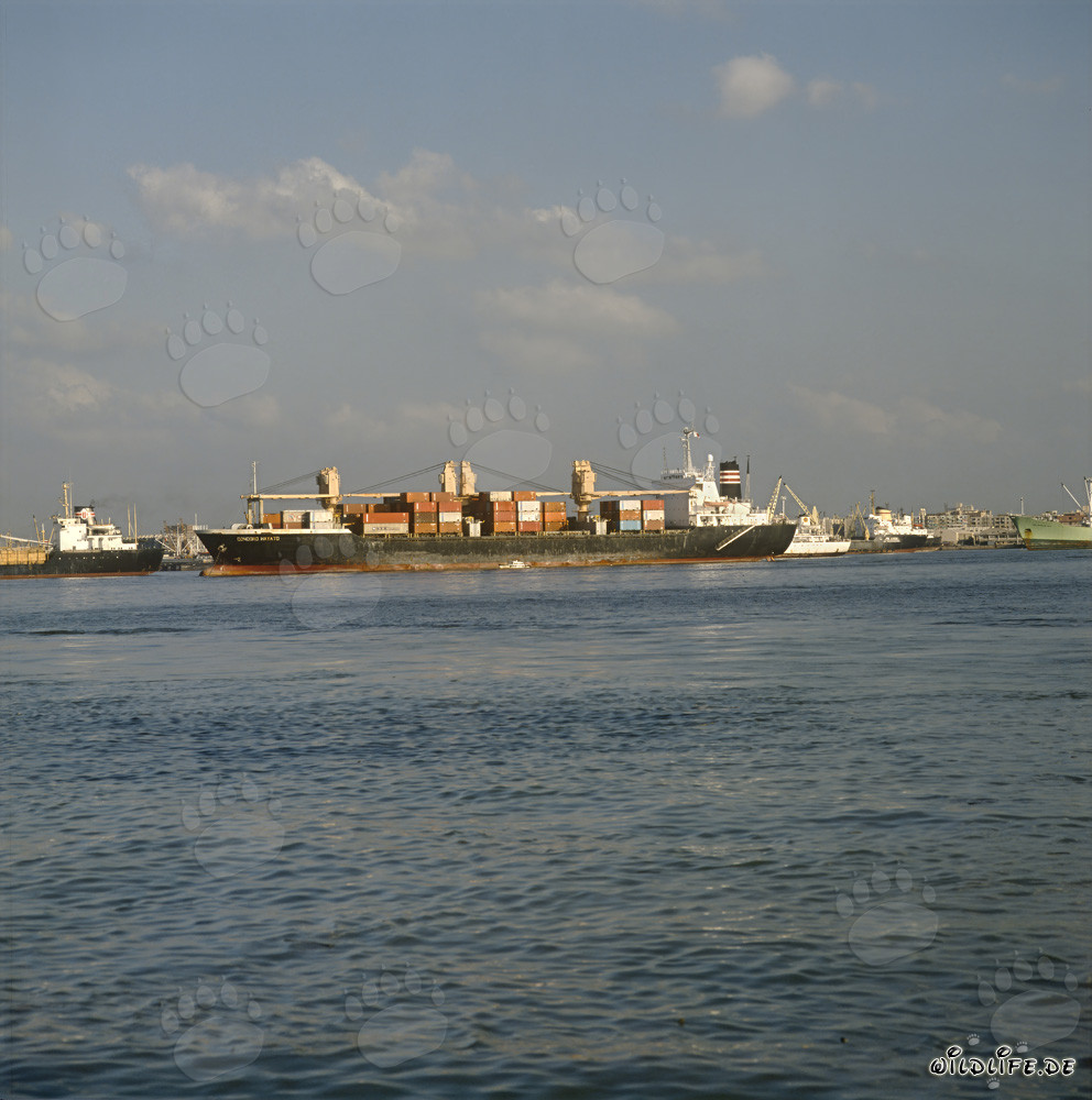 Navire porte-conteneurs impressionnant dans le port animé de Ras el Tin, Alexandrie, Égypte