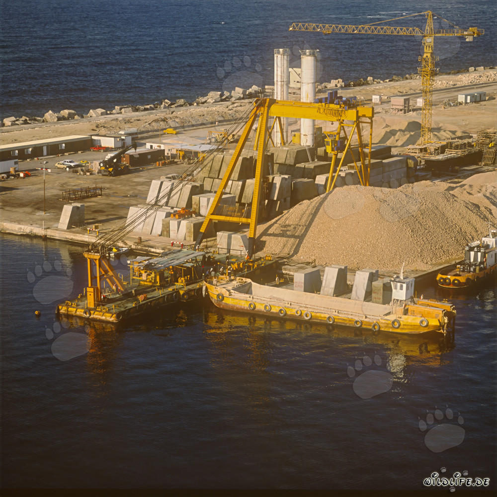 Beladung eines Transportpontons mit Betonblöcken in Ras el Tin Harbor, Alexandria