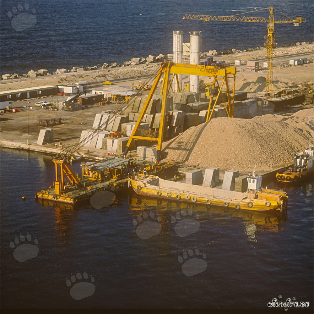 Carga de un pontón de transporte con bloques de hormigón en el puerto de Ras el Tin, Alejandría