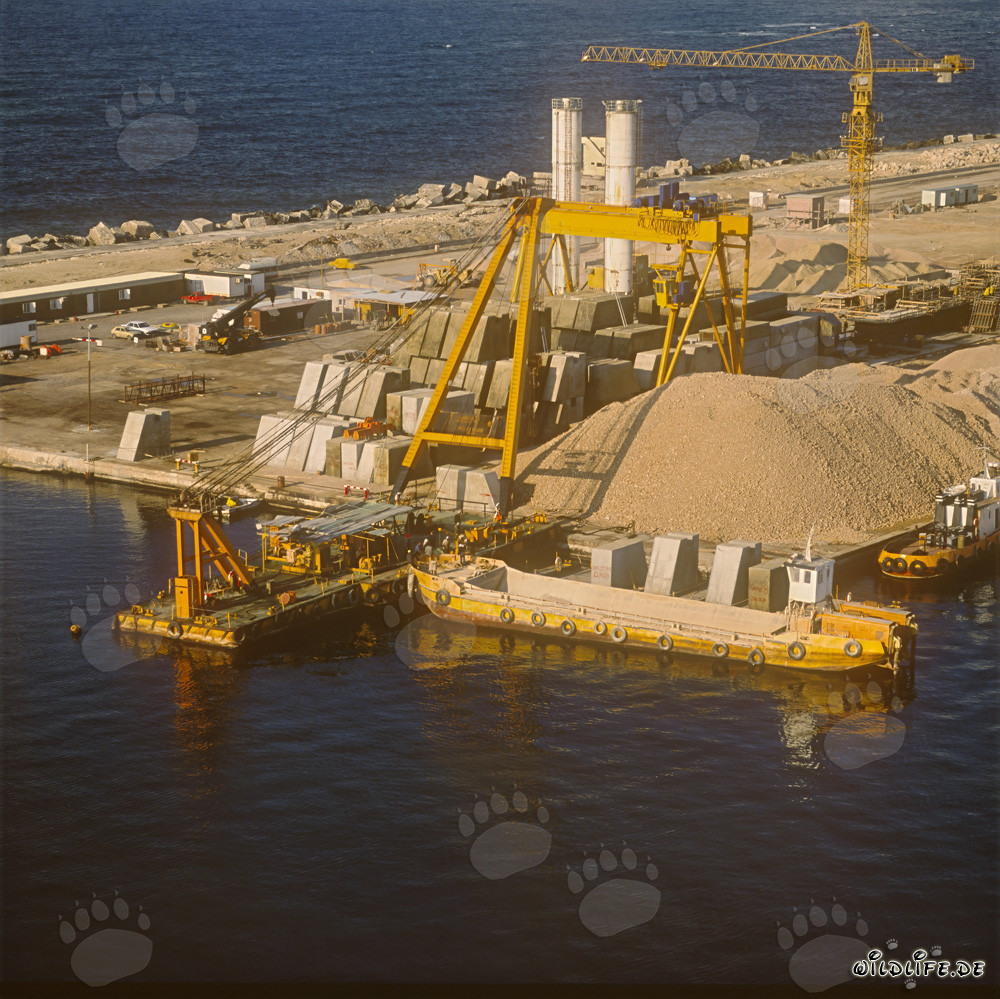 Loading of a transport pontoon with concrete blocks in Ras el Tin Harbor, Alexandria