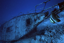 Immerse yourself in the fascinating world of the shipwreck off the island of Bandos in the Maldives