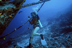 Diver discovers mysterious wreck off Bandos in the Maldives