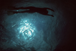 Exploring a Coral Reef: Diver in the Backlight of the Sun off the Coast of Egypt