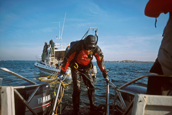Unique experience: Diving with Great White Sharks off Dyer Island