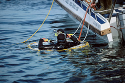 Encounter with a Great White Shark in a Shark Cage off the coast of Dyer Island, South Africa