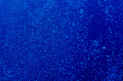 Fascinating underwater air bubbles in the Red Sea
