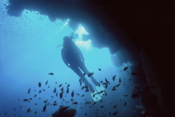Fascinating underwater shot of a diver in the back light in Egypt
