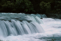 Unique Waterfall at Brooks River Barrier in Alaska
