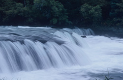 Impressive Brooks River Waterfall in the Wilderness of Katmai, Alaska