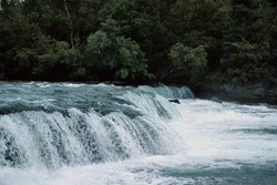 Chute d'eau unique sur la rivière Books en Alaska