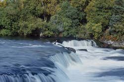 Majestic Brooks River Falls in Katmai, Alaska