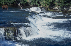 Majestic Waterfall at Brooks River - Natural Wonder in Alaska