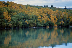 Autumn beauty at Naknek Lake in Alaska